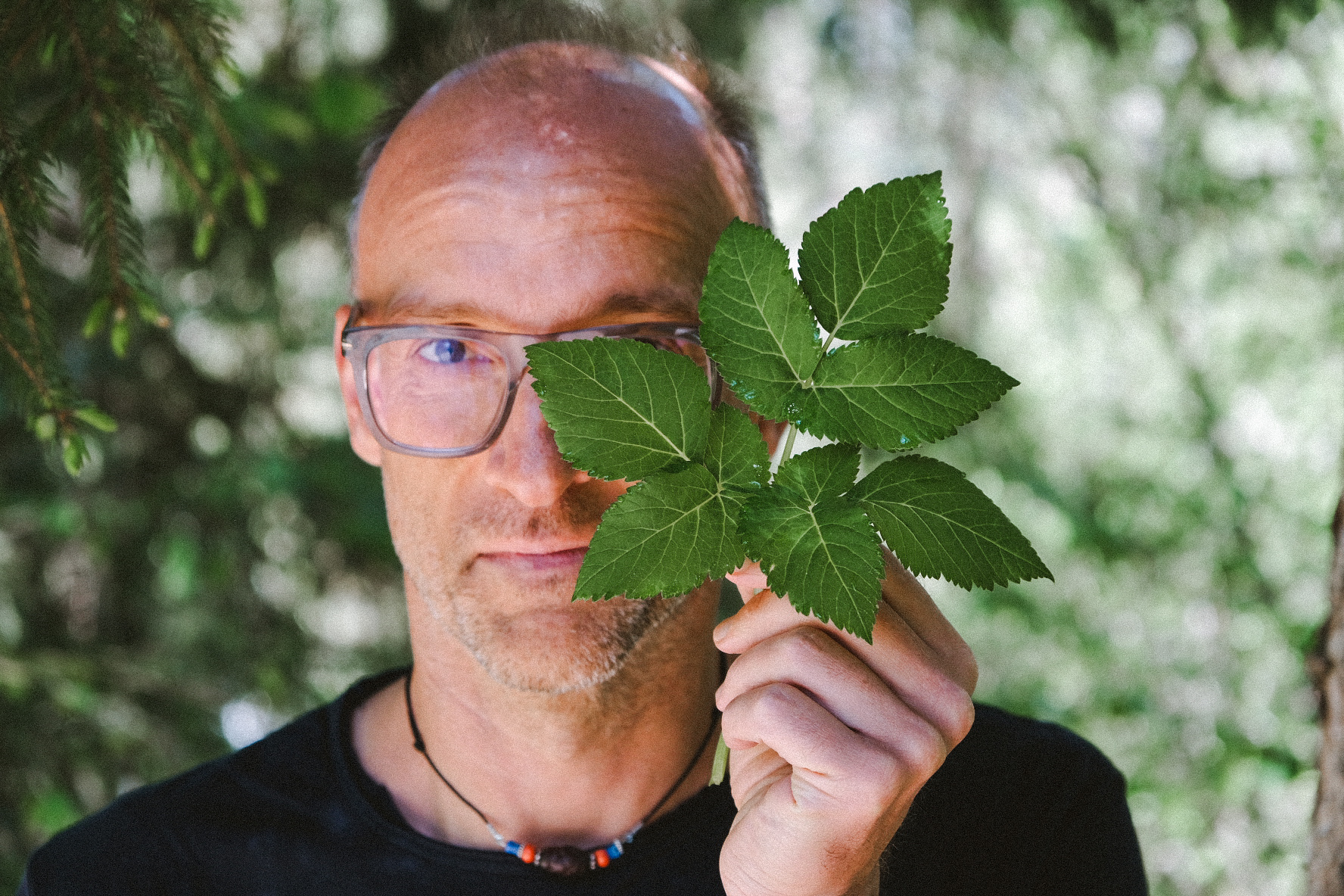 Michael Geiregger